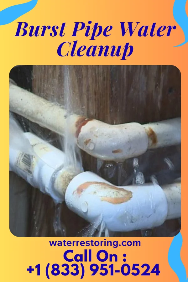 Burst Pipe Water Cleanup in Liberty, PA