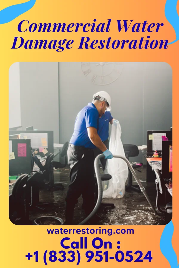 Commercial Water Damage Restoration in Liberty, PA